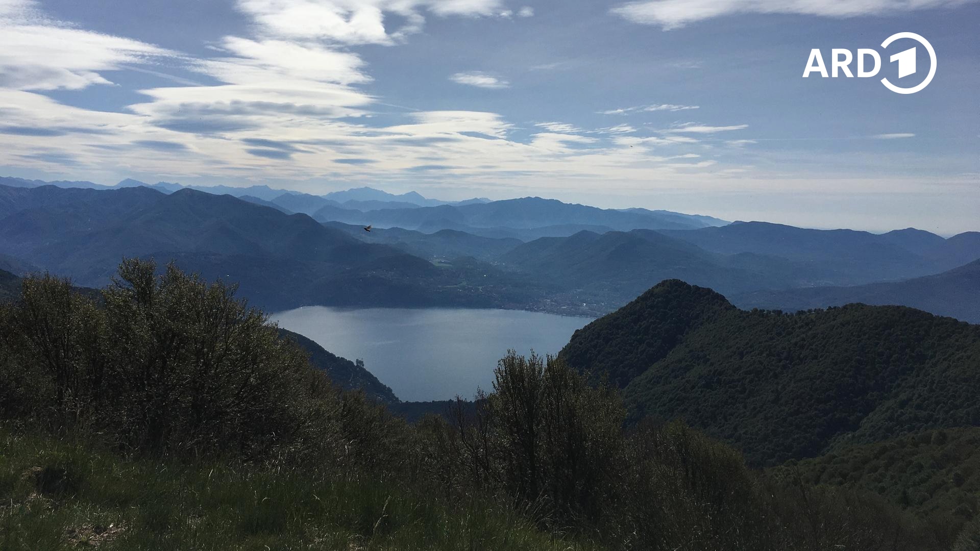 Wildnis am Lago Maggiore