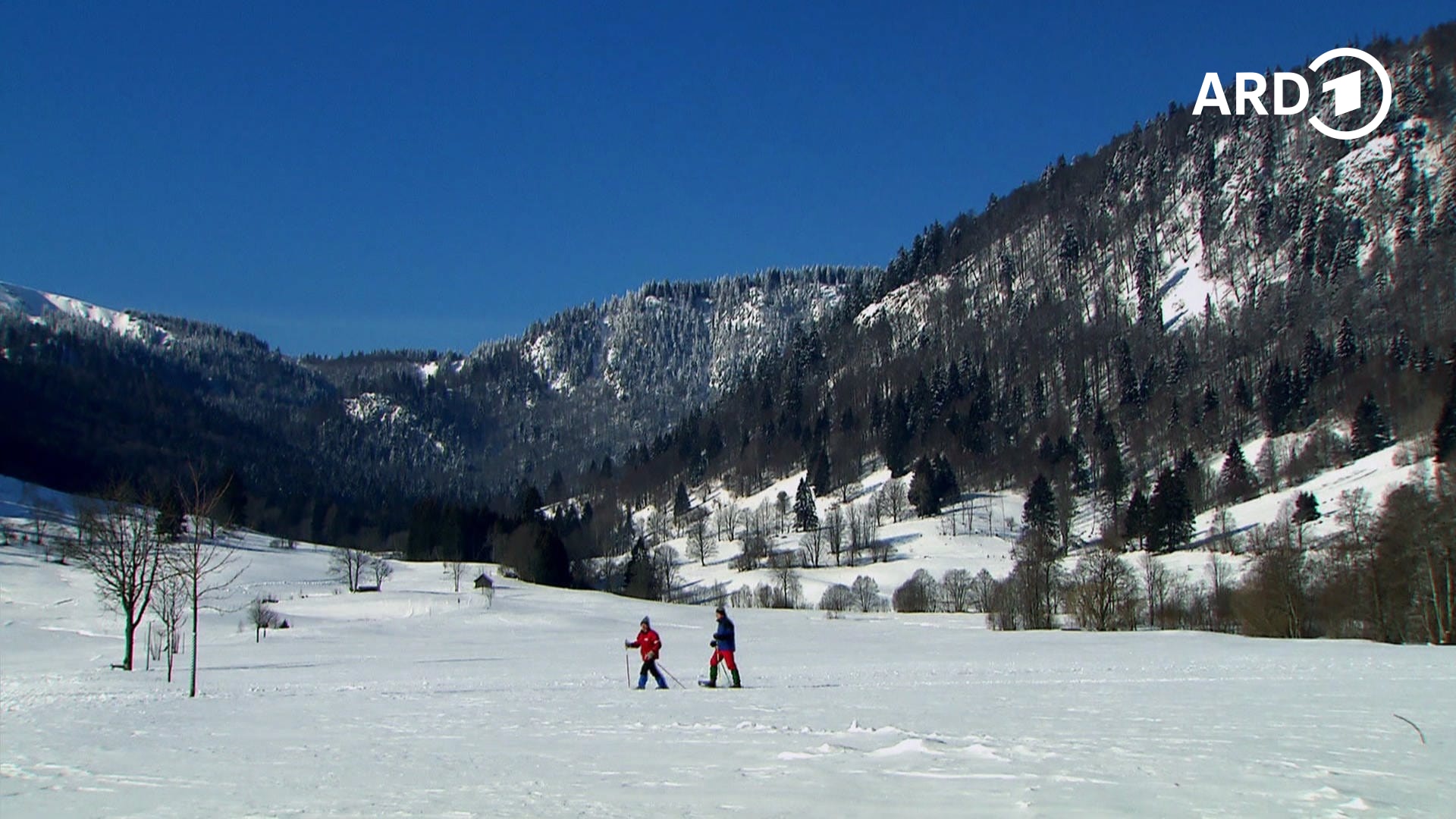 Ski erobern den Schwarzwald - Die Erfolgsgeschichte des Wintersports