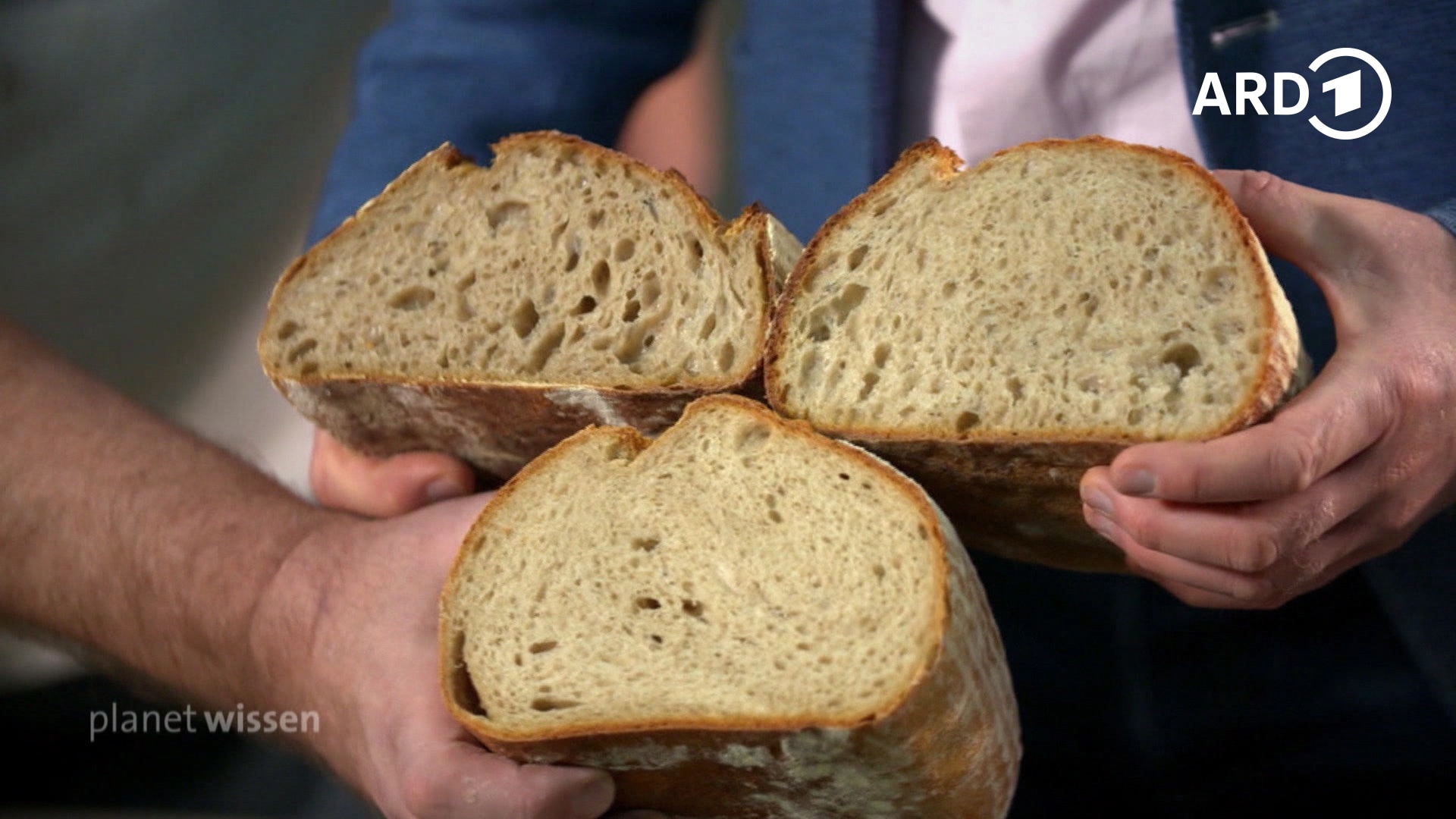 Wie gesund ist unser Brot?