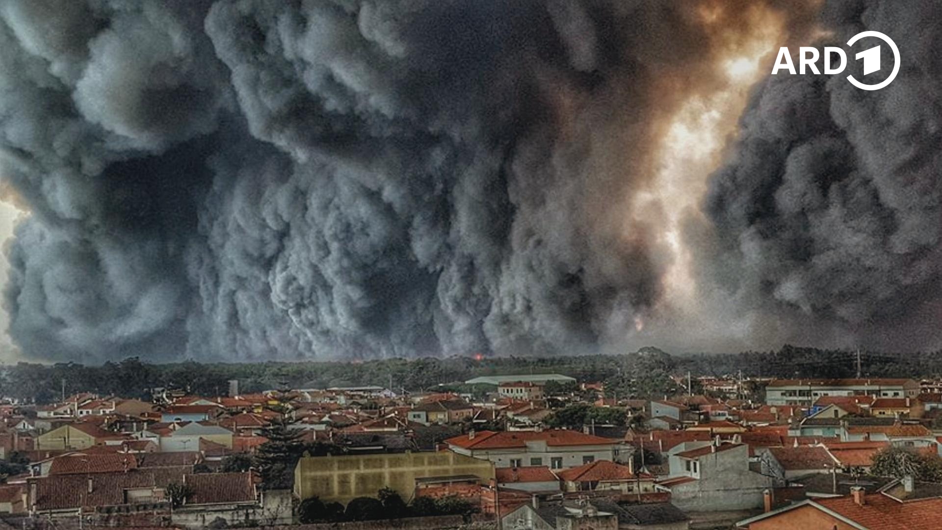 Vom Feuer bedroht: Waldbrand in Portugal