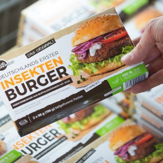 &#034;Deutschlands erster Insekten-Burger&#034; steht auf der Verpackung von tiefgefrorenen Burger-Frikadellen mit einem Anteil von 50 Prozent Insekten der Firma &#034;Bugfoundation&#034;, das in der Kühlung einer Ladenkette liegt.