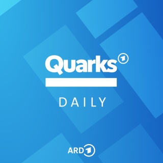 Das Coverbild des Quarks Daily Podcasts.