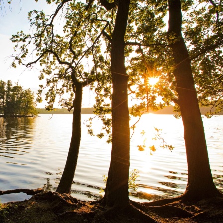 Der Krickenbecker Seen bei Sonnenaufgang.