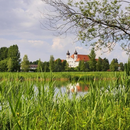 Blick über See und Schilf auf das Kloster
