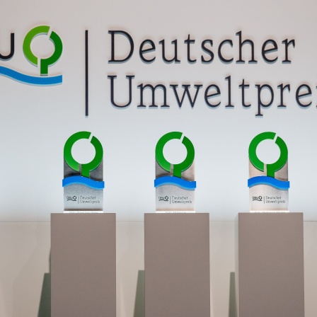 Deutscher Umweltpreis