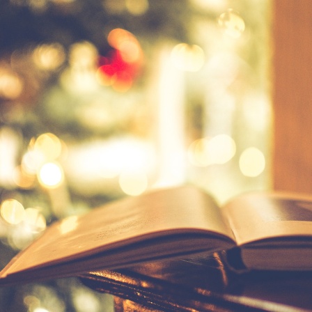 Ein aufgeschlagenes Buch liegt vor einem Weihnachtsbaum.