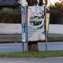 Zerstörte Wahlkampfplakate sind an einem Baumstamm angebracht.