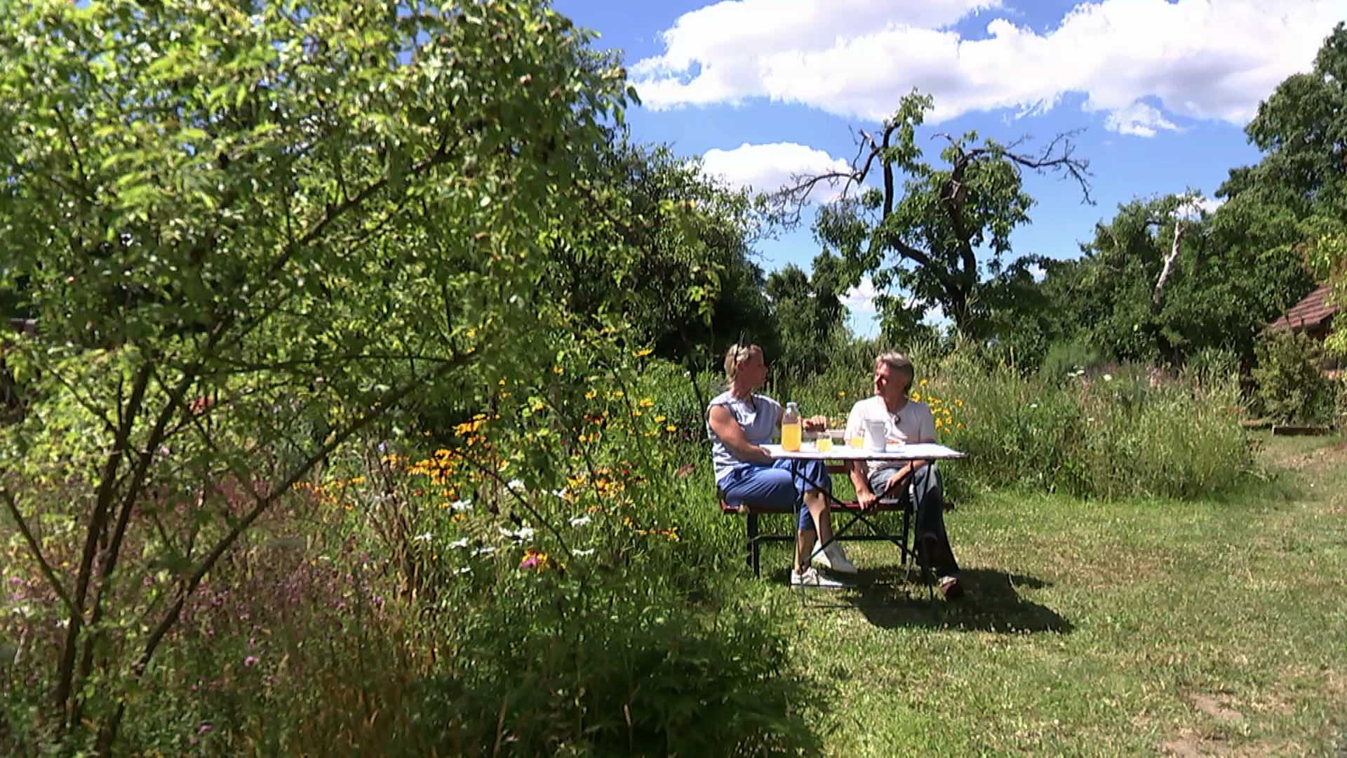 rbb Gartenzeit Tipps für einen neuen alten Garten ARD Mediathek