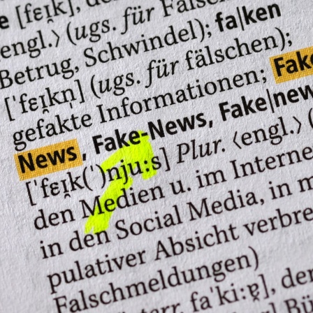 ILLUSTRATION - Der Begriff &#034;Fake-News&#034; für Falschnachrichten ist am 04.08.2017 in Berlin im neuen Duden zu sehen.