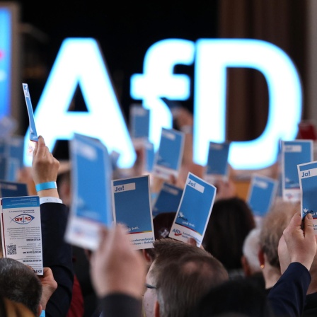 Delegierte stimmen auf dem Landesparteitag der AfD Sachsen-Anhalt ab, indem sie blaue Karten in die Höhe halten.