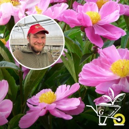 Das Portrait einer Person. Im Hintergrund Rosen.