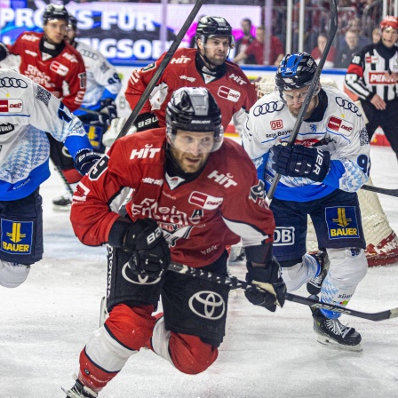 Kampf um den Puck in Köln