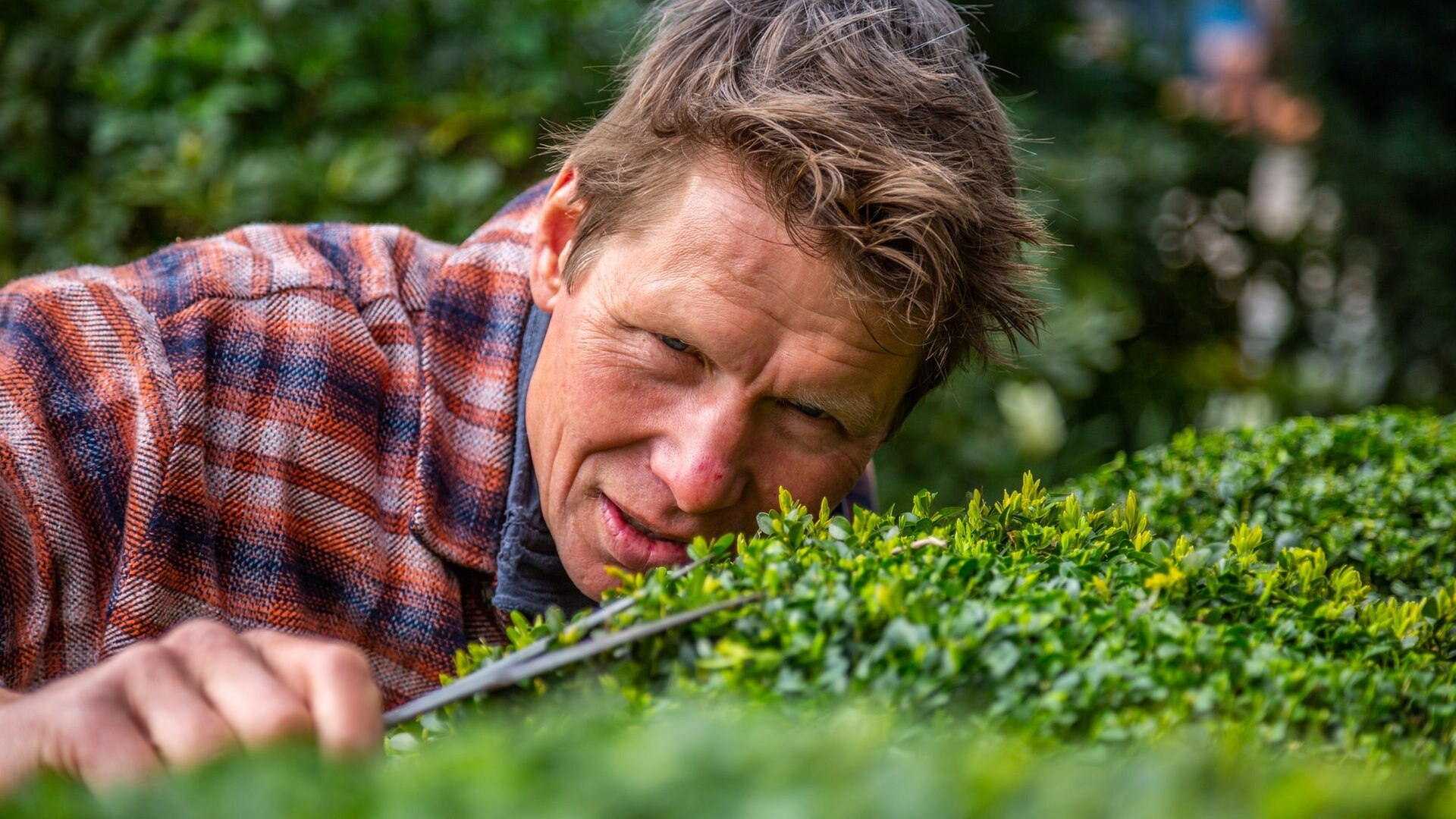 Rasch durch den Garten Gärtnern für jedermann ARD Mediathek