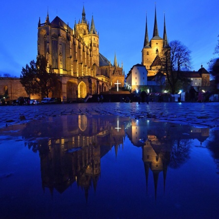 Mariendom und der Severikirche sowie ein weißes Holzkreuz spiegeln sich am Martinstag in einer Pfütze auf dem Domplatz. 