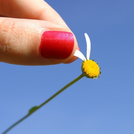 "Triffst du nur das Zauberwort" - Von Wünschen und ihrer Erfüllung