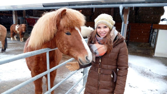 Anna, Pia Und Die Haustiere - Islandpferd