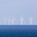 Ein Windpark bei Helgoland, die Windräder stehen im Meer