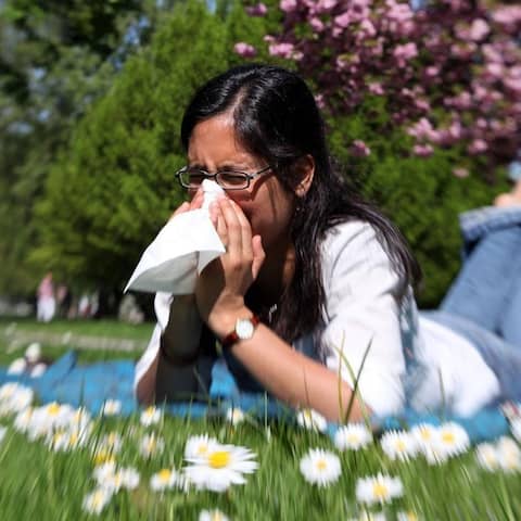Allergien nehmen zu