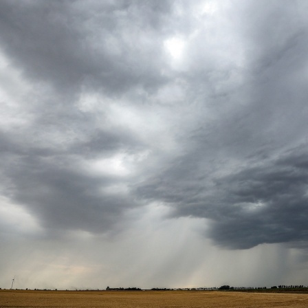 Eine Regenfront zieht über ein Getreidefeld hinweg.