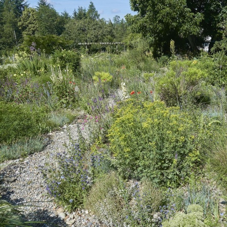 Gartenparadiese - Streifzug durch geschützte Räume, die als Ruheoasen begeistern