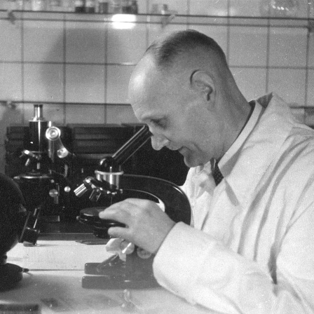 Gerhard Domagk am Mikroskop, 1953