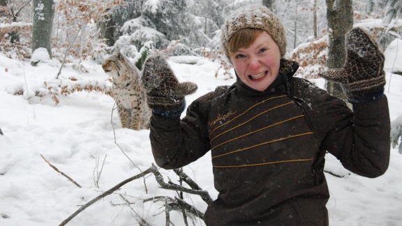 Anna, Paula, Pia Und Die Wilden Tiere - Der Luchs Im Schnee