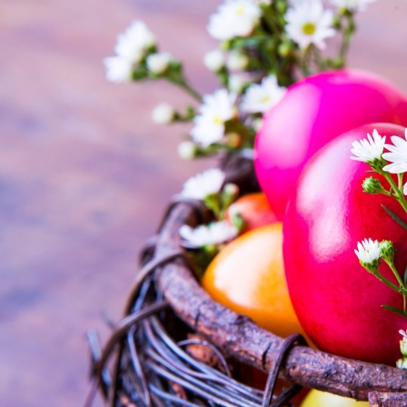 Bunte Ostereier und Gänseblümchen in einem Korb.