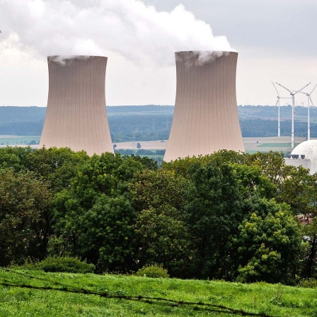 Dampf steigt auf vom Atomkraftwerk Grohnde