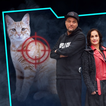 Verurteilt! (37): Der Katzen-Sniper