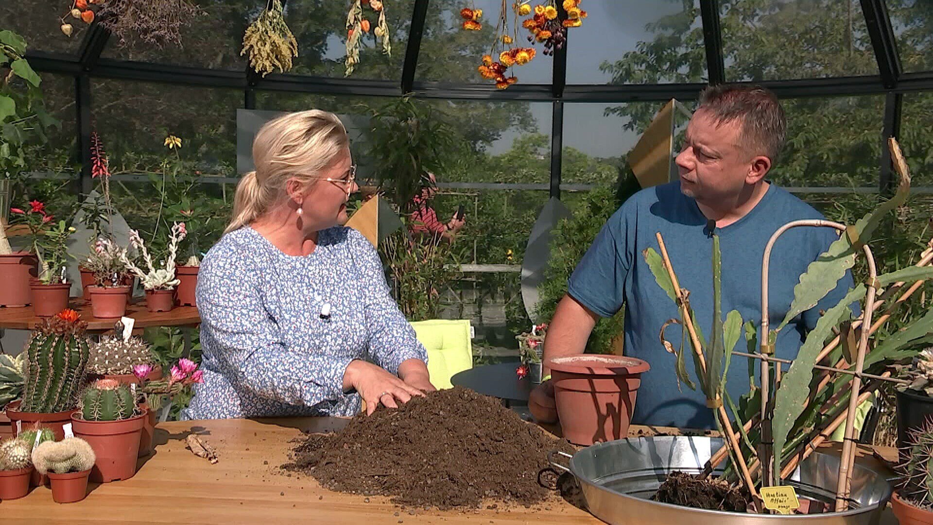 MDR Garten Kakteen richtig umtopfen ARD Mediathek