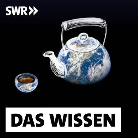 Teekann mit dem Muster einer Weltkarte, daneben eine Teetasse: Tee wurde schon auf der antiken Seidenstraße transportiert. Wie kaum ein anderes Handelsgut prägte er später die Kolonialgeschichte. Auch die Gründung der Vereinigten Staaten von Amerika begann 1773 mit der berühmten &#034;Boston Tea Party&#034;.