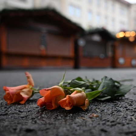 Drei Rosen liegen auf dem Asphalt am Rande des Weihnachtsmarkts in Magdeburg. Aufnahme vom 23.12.2024. 