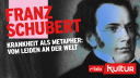 Franz Schubert | Krankheit als Metapher: vom Leiden an der Welt (18/21) © dpa/Fine Art Images/Heritage Images