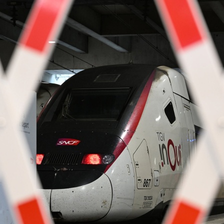 Ein TGV der französischen Eisenbahngesellschaft SNCF steht im Bahnhof Gare Montparnasse.