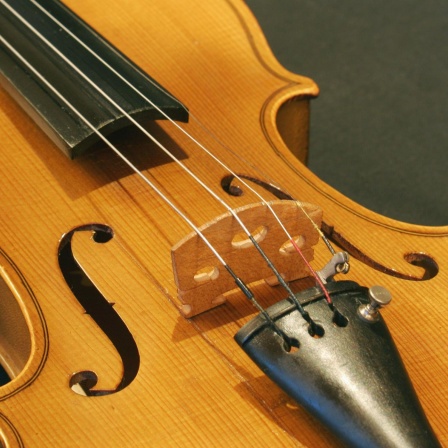 Fünf Irrtümer über die Geige
