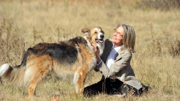 Filme Im Ersten - Darling Companion - Ein Hund Fürs Leben