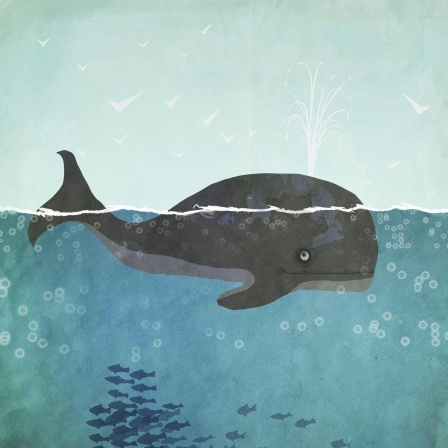 Illustration eines im Meer schwimmenden Wals .