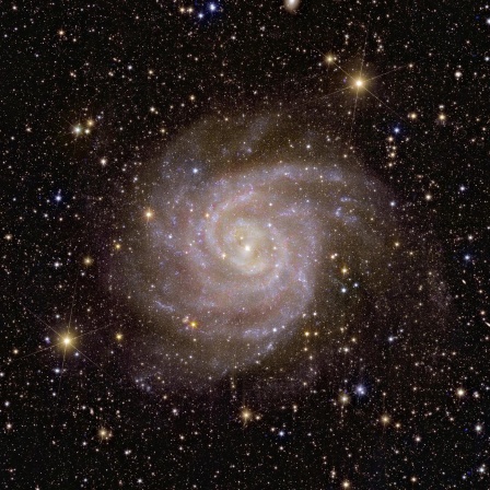 Euclid-Teleskop fahndet nach dunkler Materie, KFZ-Scanner gegen Falschparker