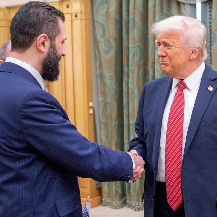 US-Präsident Donald Trump schüttelt dem syrischen Interimspräsidenten Ahmad al-Scharaa die Hand.