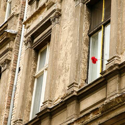 Unsaniertes Haus, eine rote Blume ragt aus einem Fenster © dpa/Wolfram Steinberg