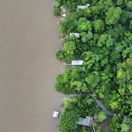 Frühe Siedlungen am Amazonas, Ringimpfungen bei Affenpocken, Arabische Marsmission, Hochwasser