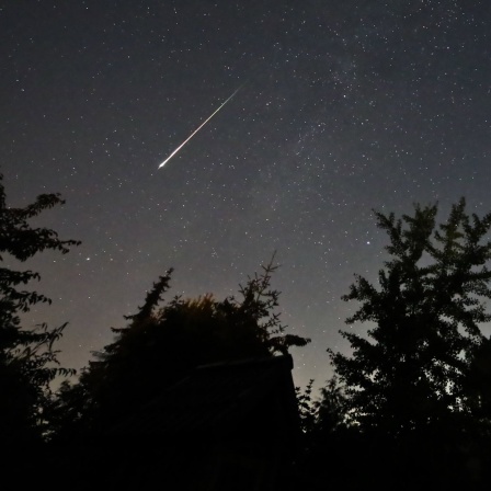 Ein Perseidenmeteor zieht über den Himmel (Bild. picture alliance/dpa/Marco A. Ludwig)
