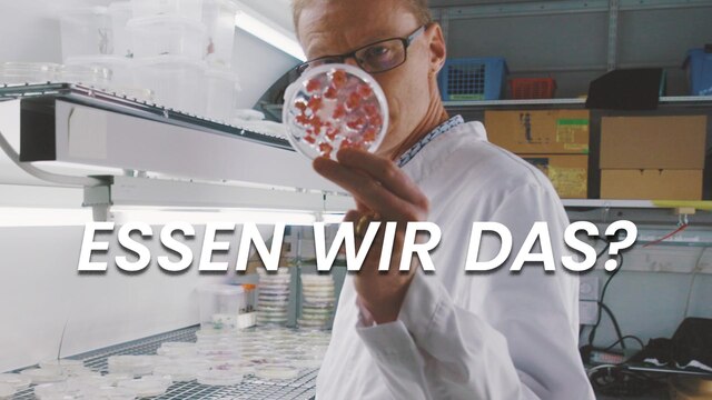 Ein Mann hält eine Petrischale in die Kamera mit gezüchteten Lebensmittelelementen aus einem Bioreaktor. | Bild: BR