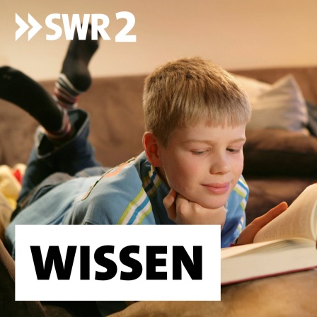 Zwei Jungen lesen auf dem Sofa Bücher: Viele Kinder lesen nicht gern - selbst, wenn ihnen zu Hause regelmäßig vorgelesen wurde.