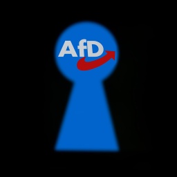 Der Blick durch ein Schluesselloch ist auf ein AfD Logo gerichtet.