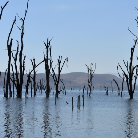 Wenn das Wasser alles schluckt - Kenias Seen gehen über die Ufer