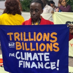 Eine Frau hält ein Transparent auf der Weltklimakonferenz COP29 in Baku, Aserbaidschan, darauf steht: Trillions not Billions for Climate Change.