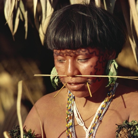 Das Volk der Yanomami - Ihr Kampf ums Überleben