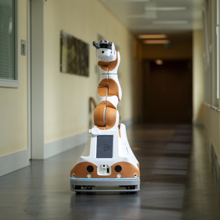Symbolbild: Der Assistenzroboter Lio steht in den Räumlichkeiten des KZU Kompetenzzentrums Pflege und Gesundheit.