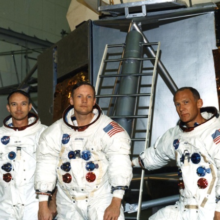 Apollo 11-Film, Safran-Krokus, Wiederaufforstung gegen Klimawandel, Lärmempfindliche Pinguine
